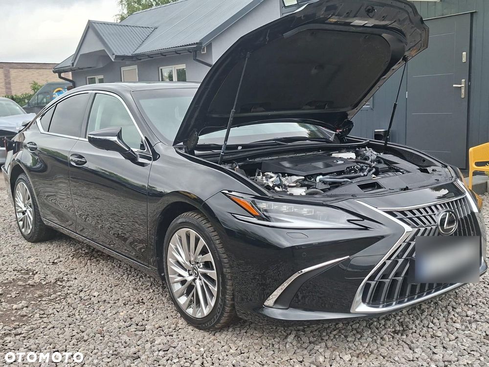 Lexus ES 300h Omotenashi - 6
