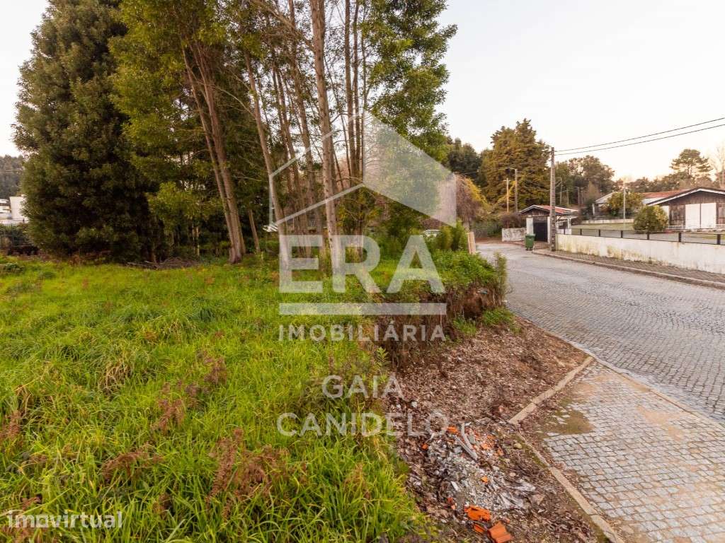 Lote Residencial nos Carvalhos - Grande imagem: 5/8