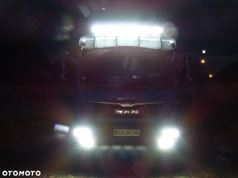 MAN TGM 15.250 DO ŻYWCA / ZWIERZĄT / BYDŁA / WAGA EL/. EURO 6 / DŁ. 5.20M /XENON - 37