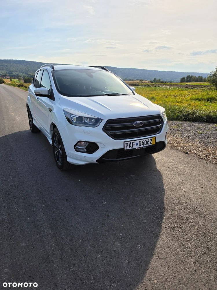 Ford Kuga 2019 photo 2