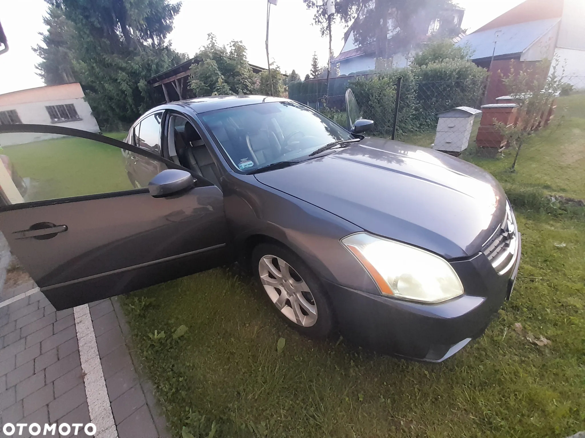 Nissan Maxima 3.5 SL - 5