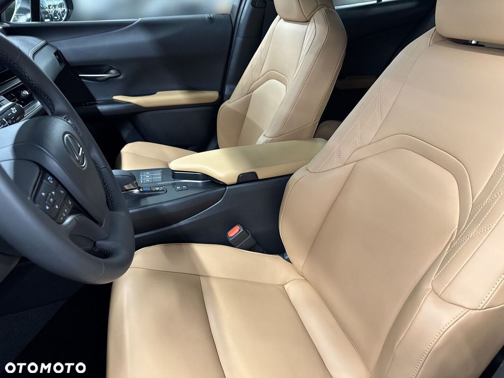 Lexus UX 300h F Sport Design - 17