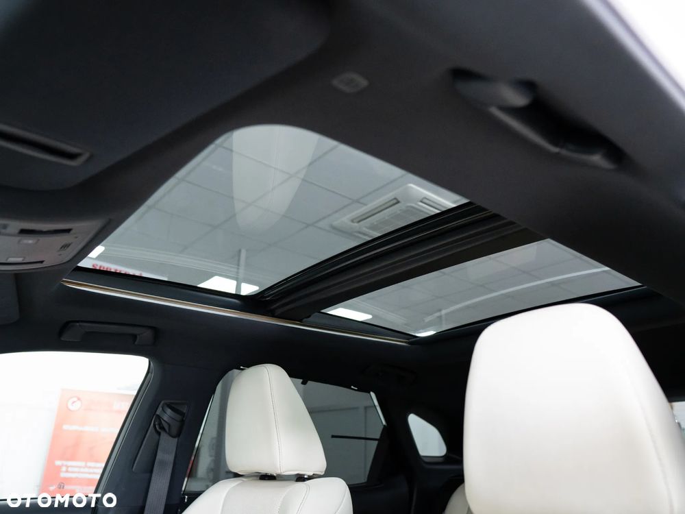 Lexus RX 200t / 300 F Sport - 25