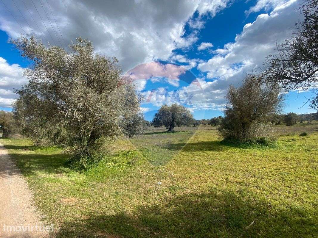 Terreno  para venda - Grande imagem: 2/6