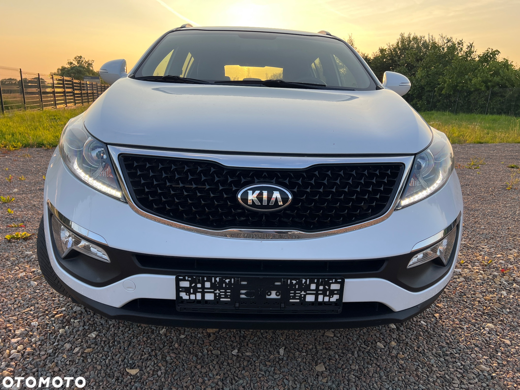 Kia Sportage 1.6 GDI Business Line 2WD - 2