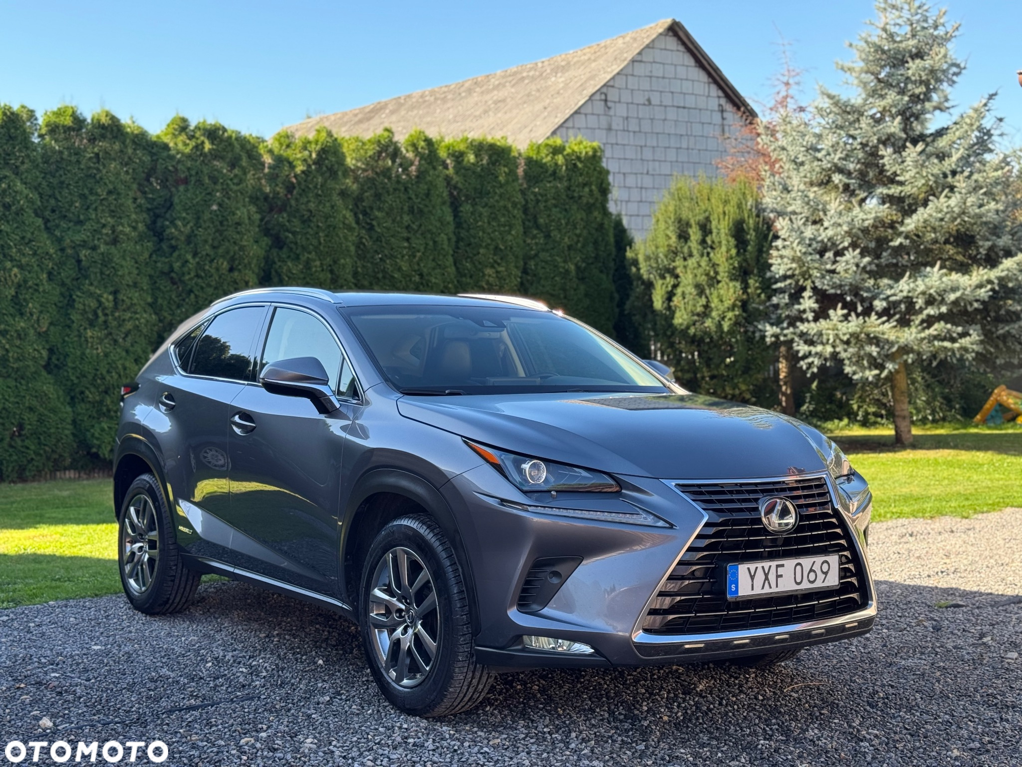 Lexus NX 350h F Sport AWD - 2