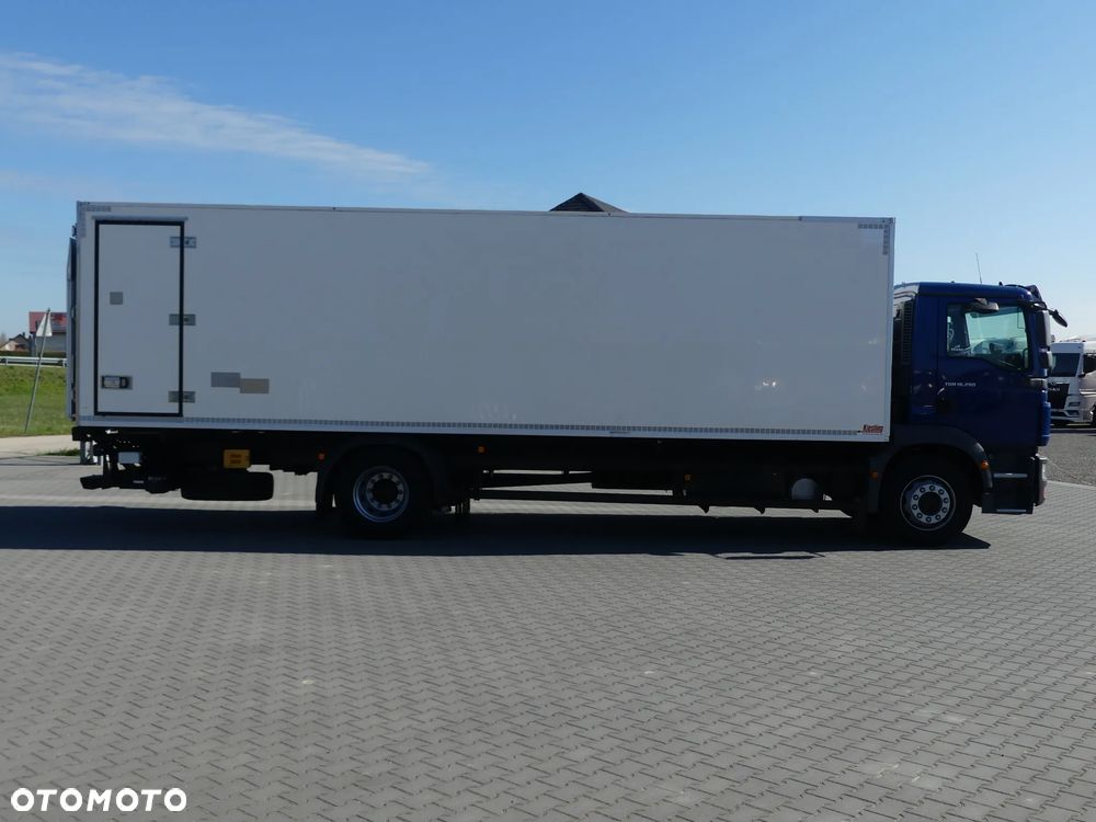 MAN TGM 18.290 / CHŁODNIA + WINDA / AUTOMAT / - 11