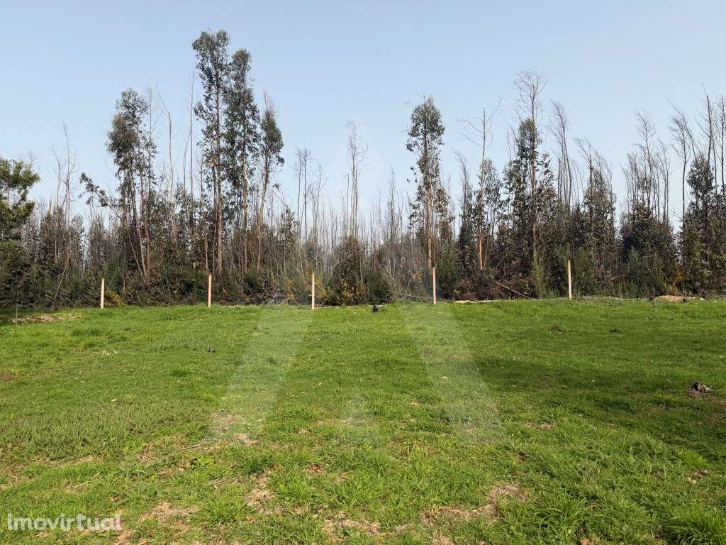 Terreno rústico em Assilhó - Albergaria-a-Velha - Grande imagem: 5/22