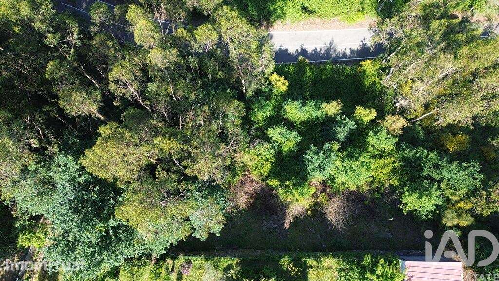 Terreno Agrícola em Lemenhe, Mouquim e Jesufrei - Grande imagem: 3/7