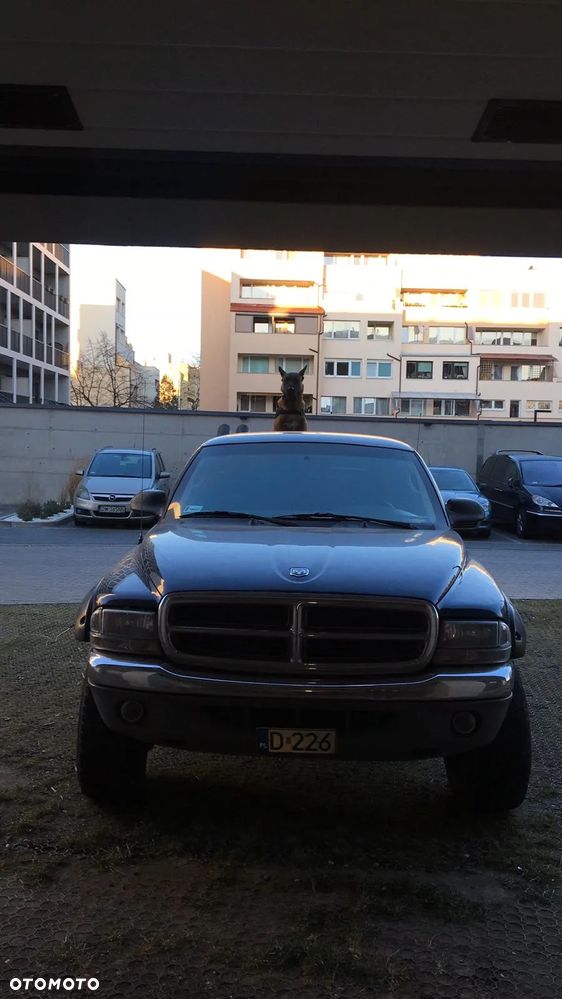 Dodge Dakota - 1