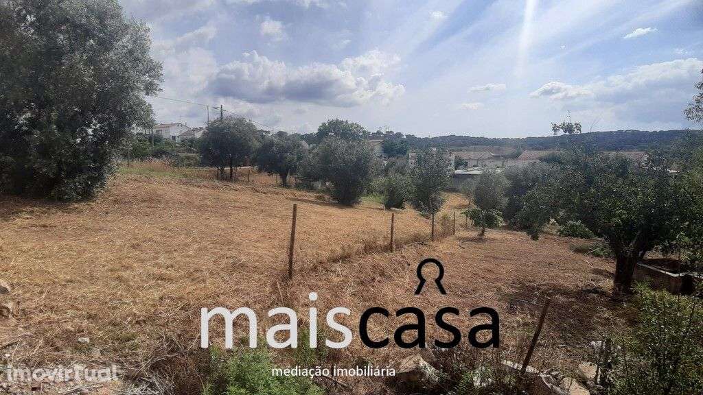 Lote Urbano com Árvores ! - Grande imagem: 3/7