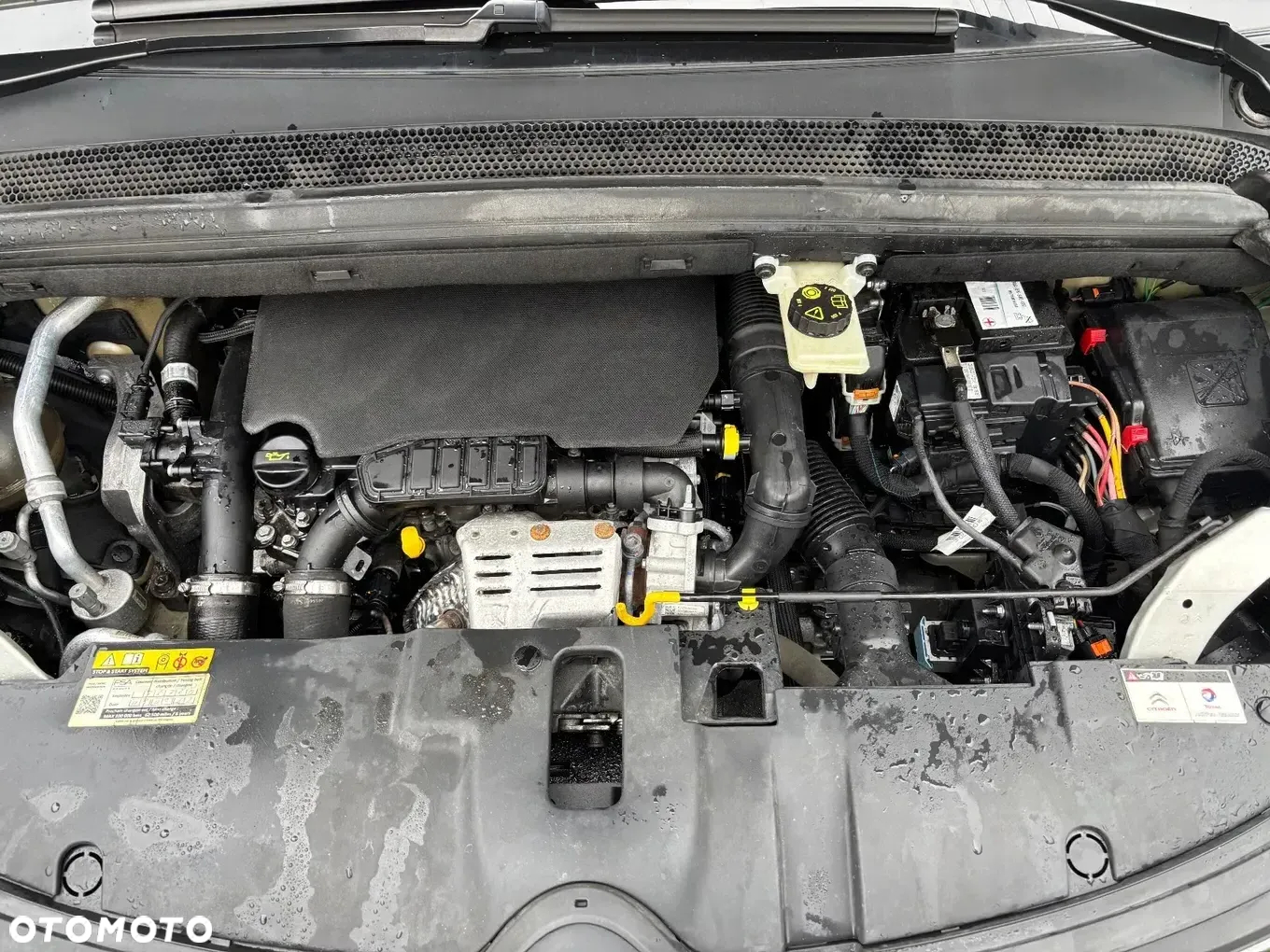 Citroën C4 Picasso PureTech 130 Stop&Start Exclusive - 17