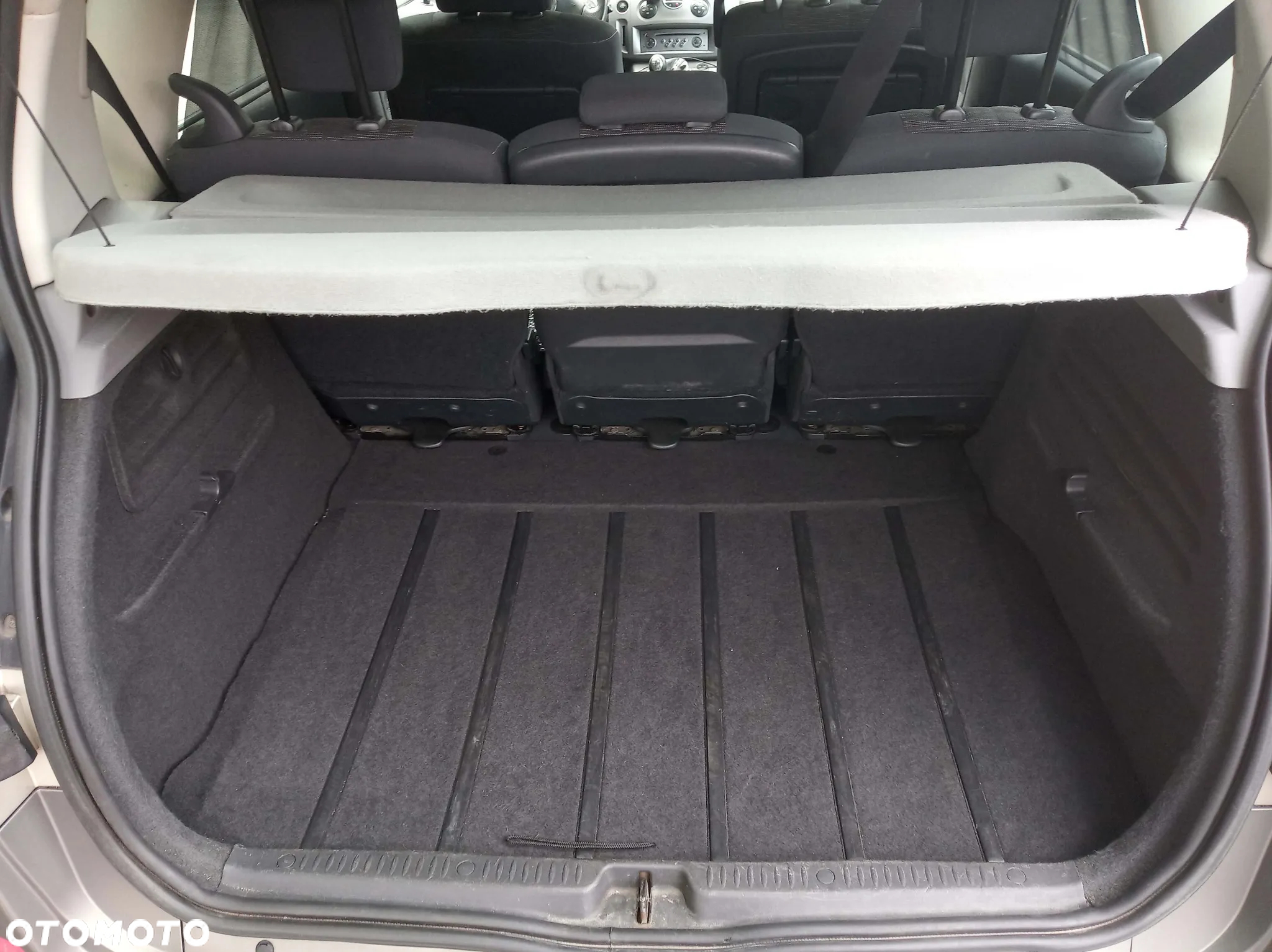 Renault Scenic - 11