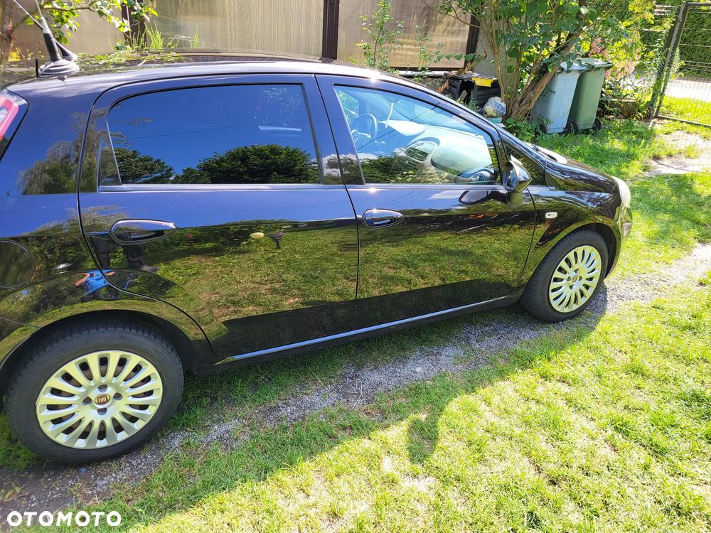 Fiat Punto - 3