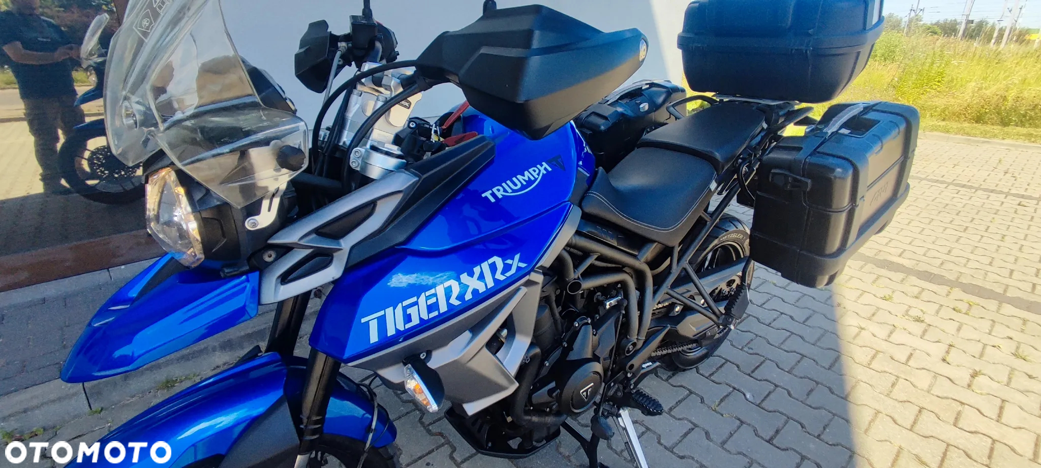Triumph Tiger - 14