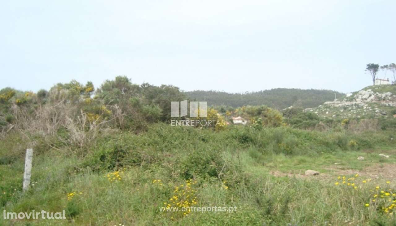 Terreno Agrícola - Afife - Grande imagem: 3/4