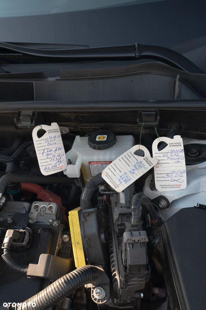 Toyota RAV4 2.5 Hybrid Executive 4x2 - 30