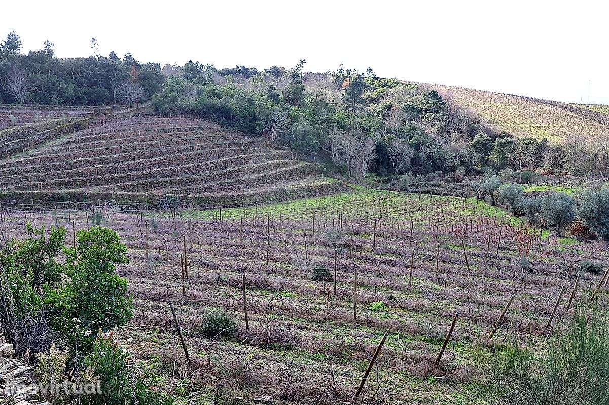 Quinta  para venda - Grande imagem: 3/14