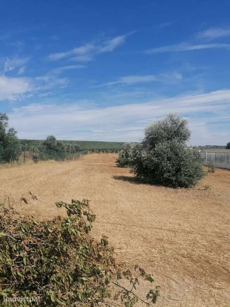 Magnifico Terreno , 3250 m2, que pode ser a sua "QUINTA" no Monte Barr - Grande imagem: 5/7