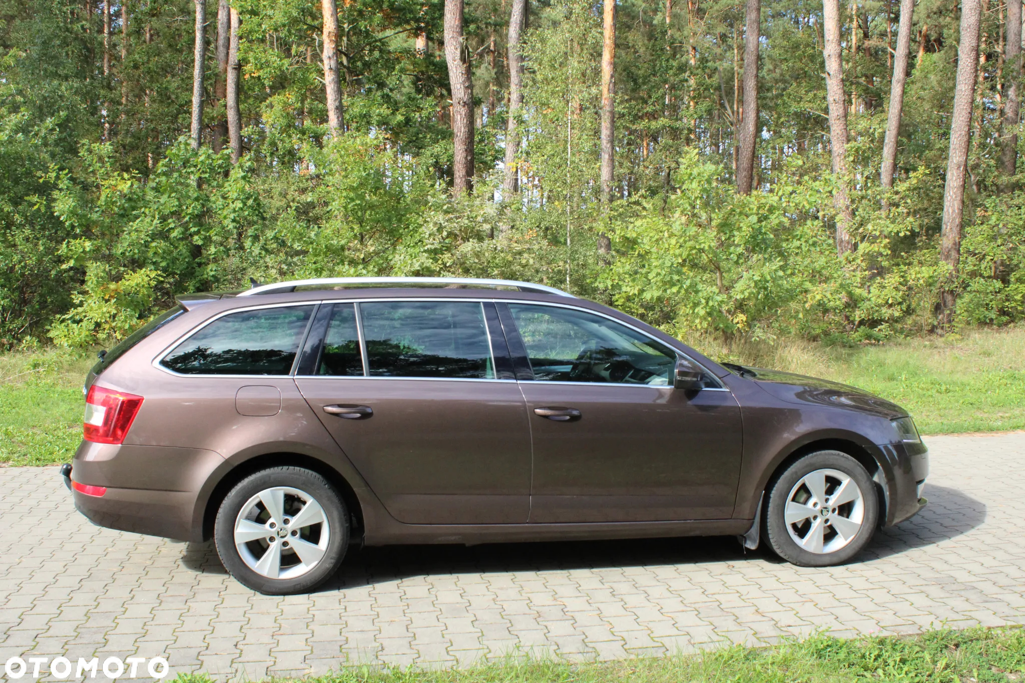 Skoda Octavia - 8