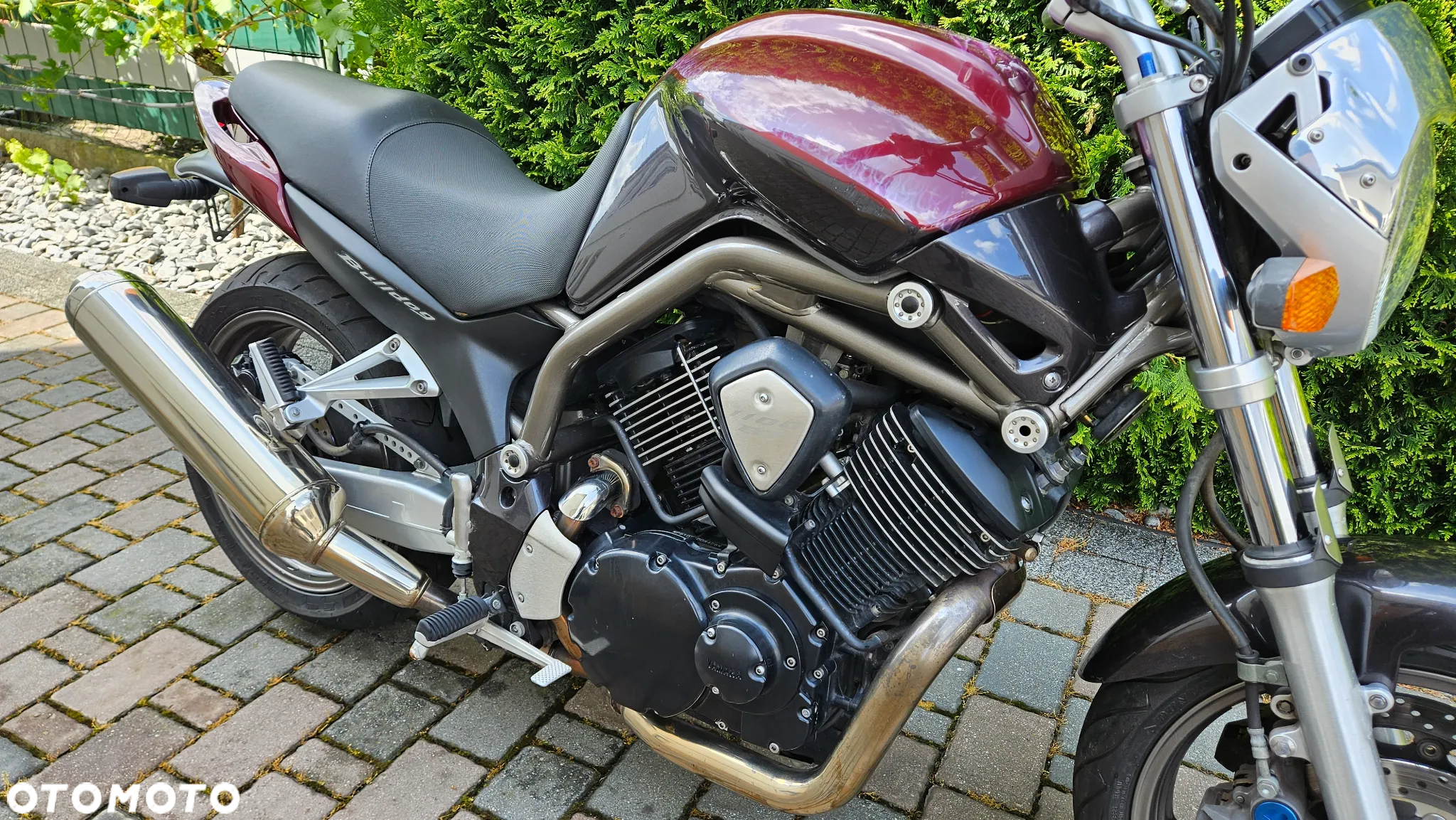 Yamaha Bulldog - 10