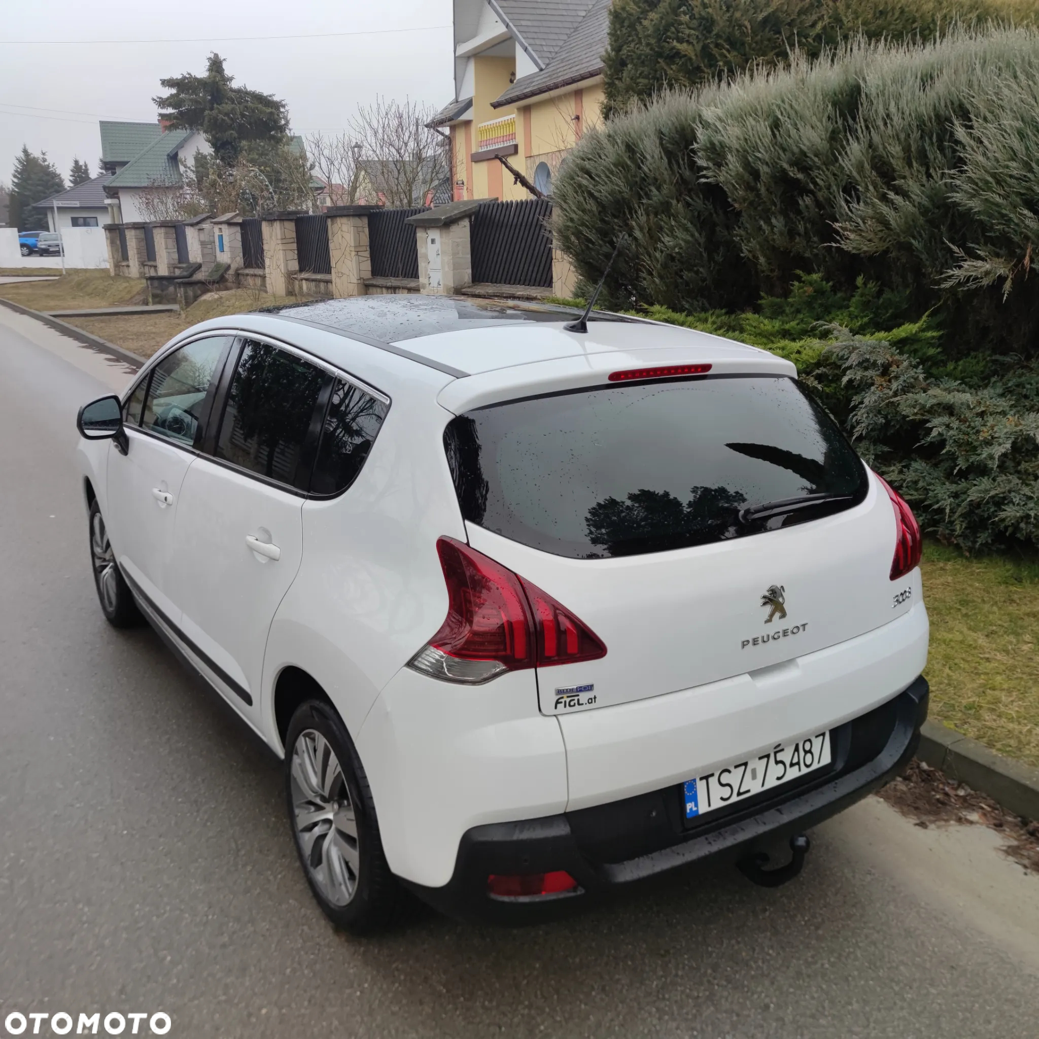 Peugeot 3008 1.6 BlueHDi Style S&S - 29