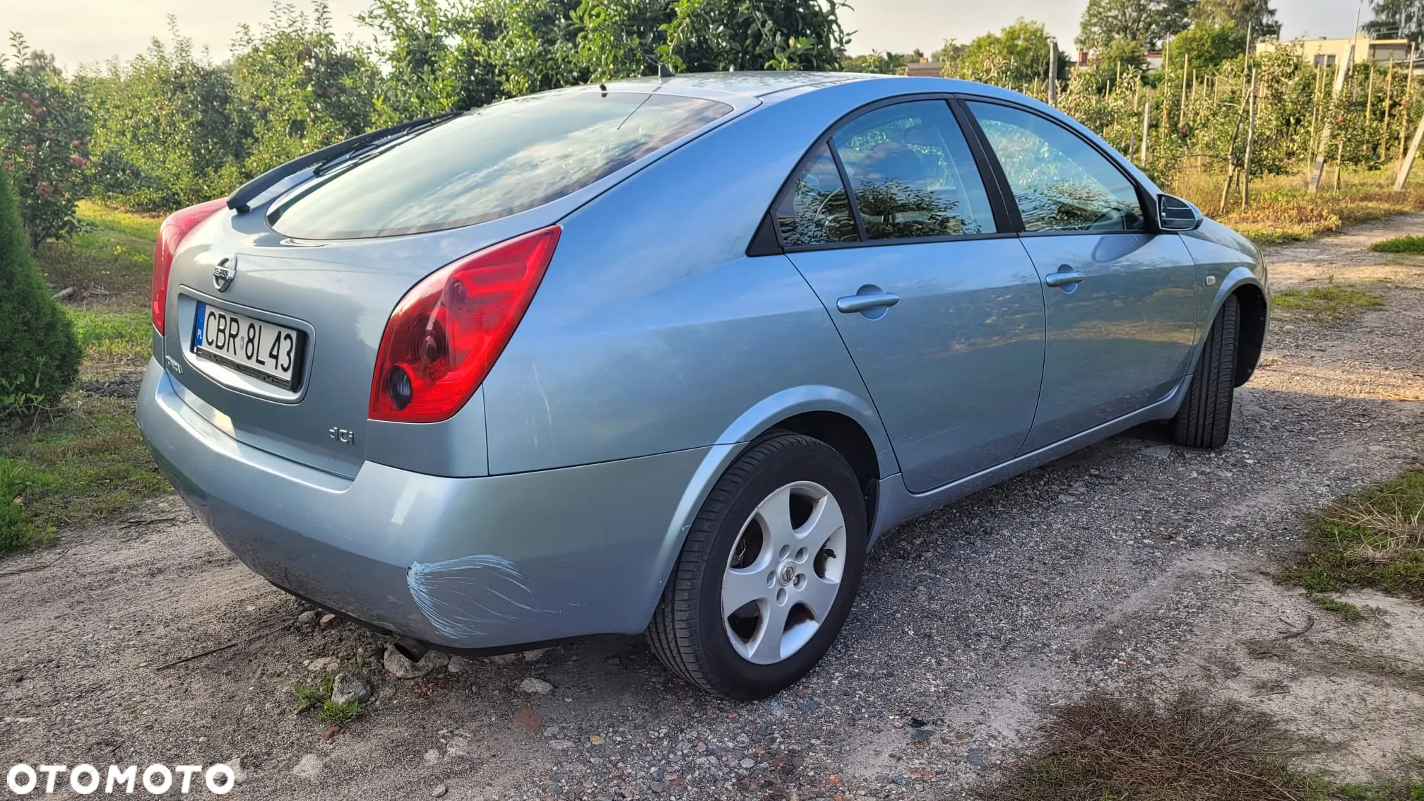 Nissan Primera - 7