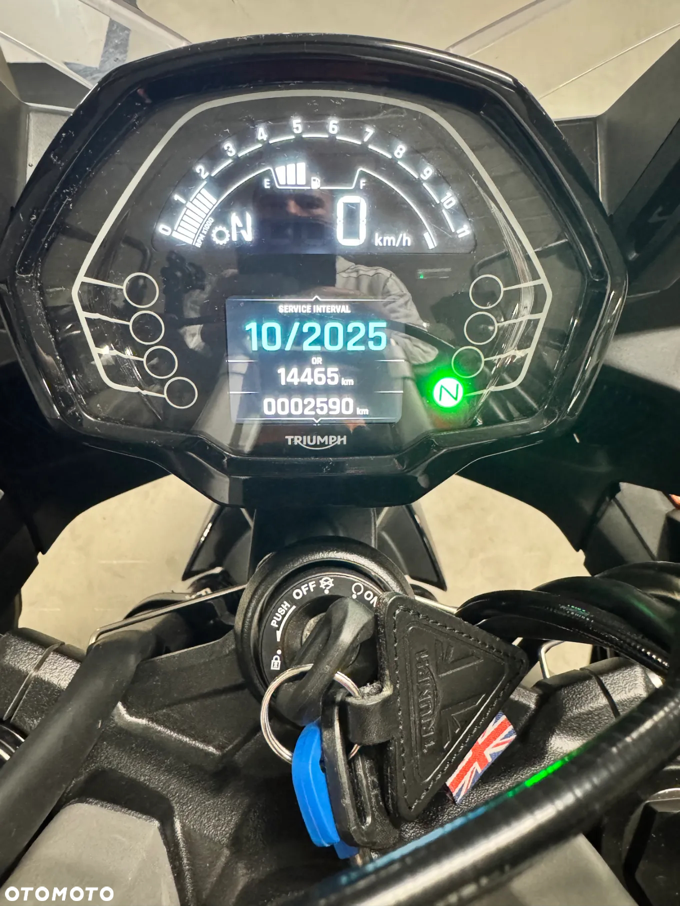 Triumph Tiger - 7