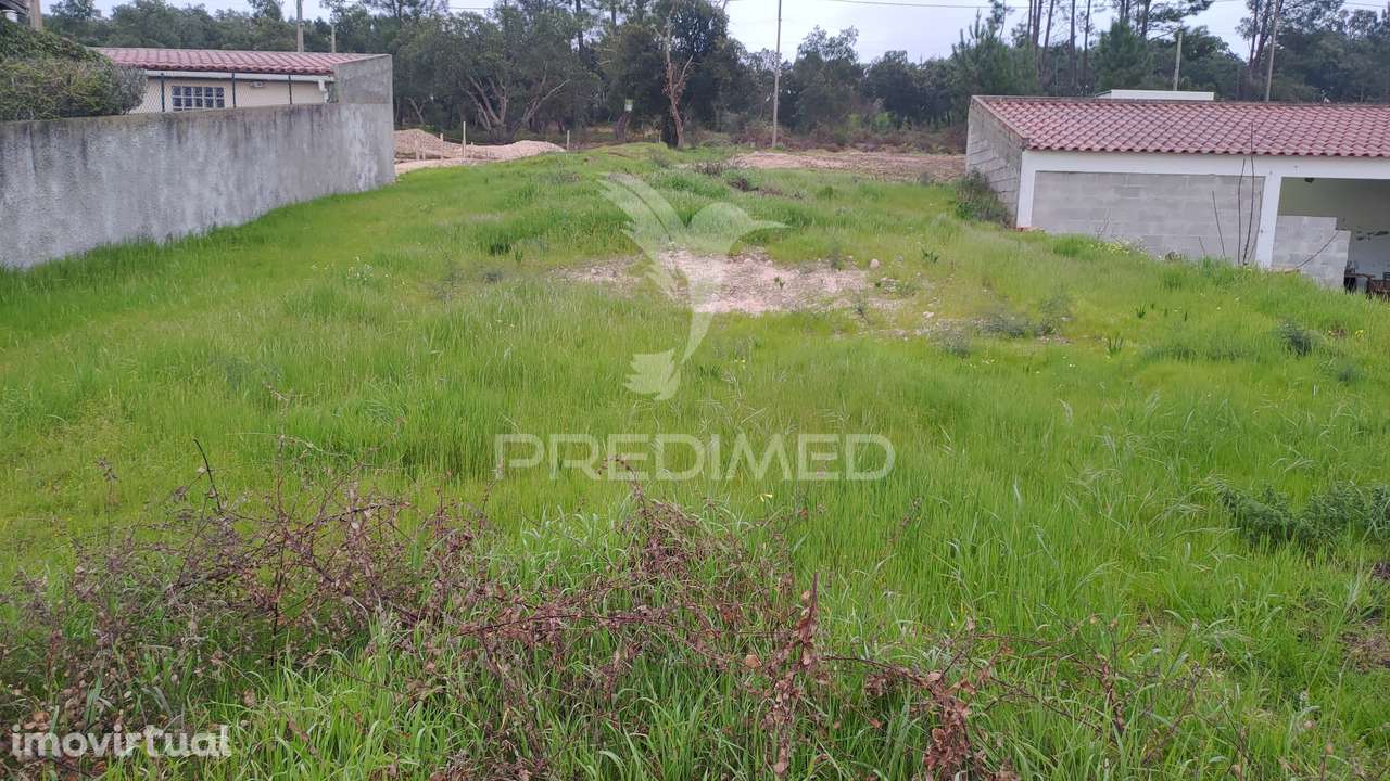Terreno Urbano 317 m2 - Carregueira - Chamusca - Grande imagem: 3/7