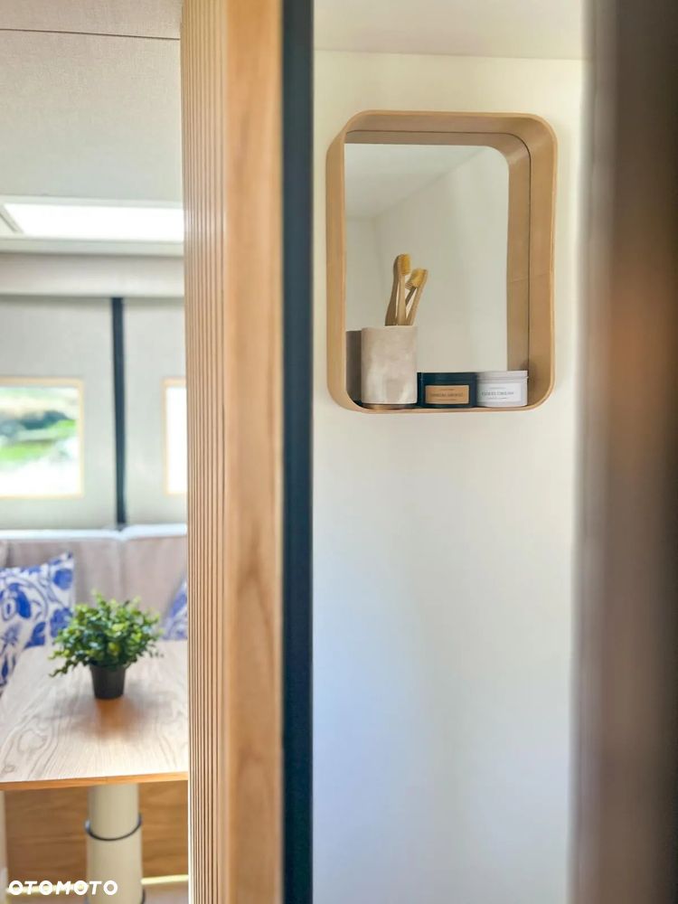 Mercedes-Benz SPRINTER 317 - 9