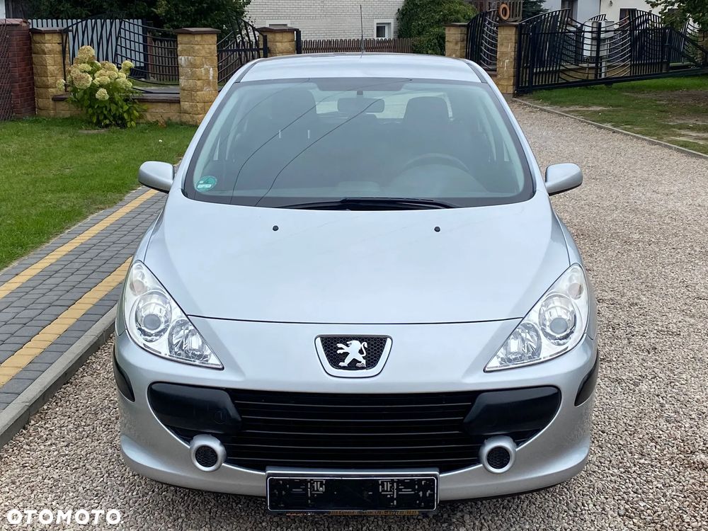 Peugeot 307 110 Tendance - 15