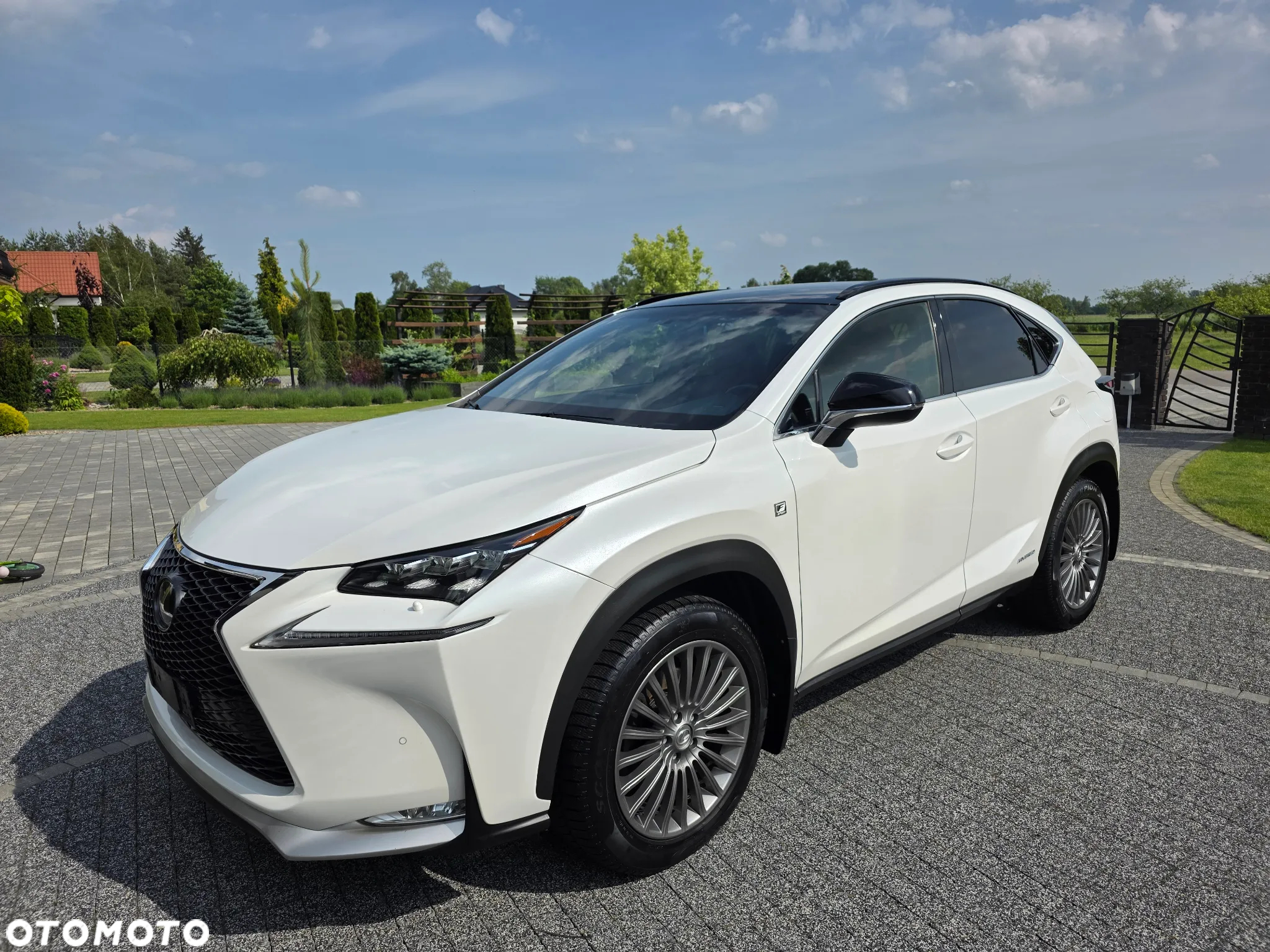 Lexus NX 300h E-FOUR F SPORT - 2