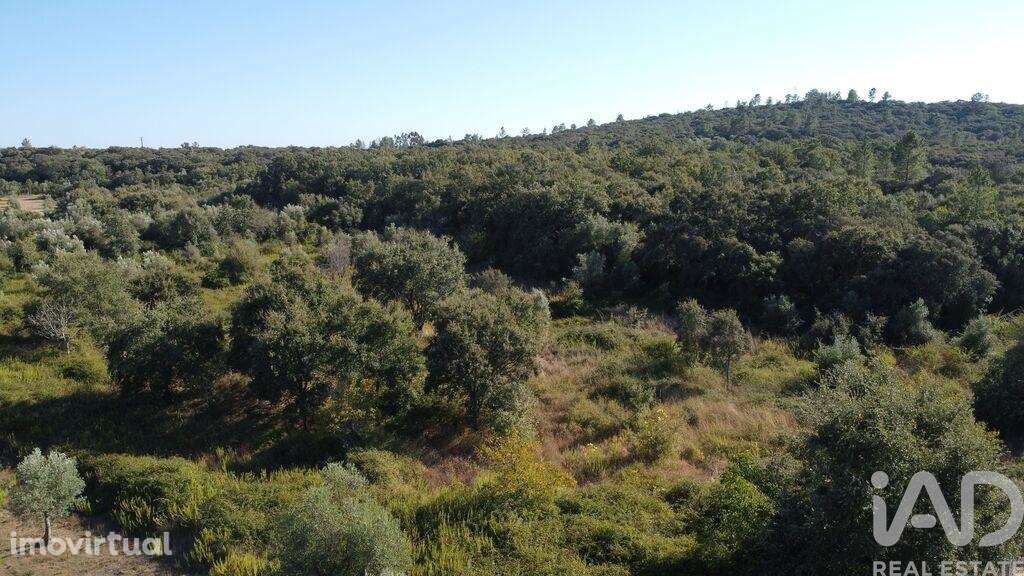 Terreno em Areias e Pias de 1850,00 m2 - Grande imagem: 3/13