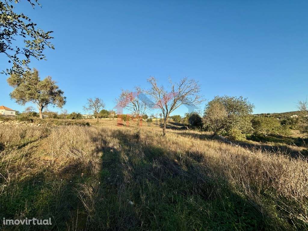 Terreno urbano para construção de 15 moradias - Boliqueime - Grande imagem: 4/6