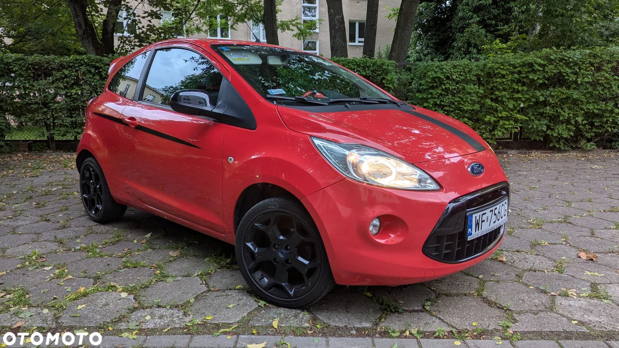 Ford KA 1.2 Grand Prix - 1