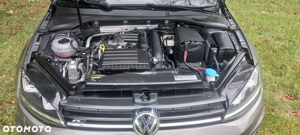 Volkswagen Golf - 19