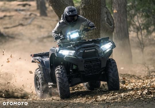 Kawasaki Brute Force - 10