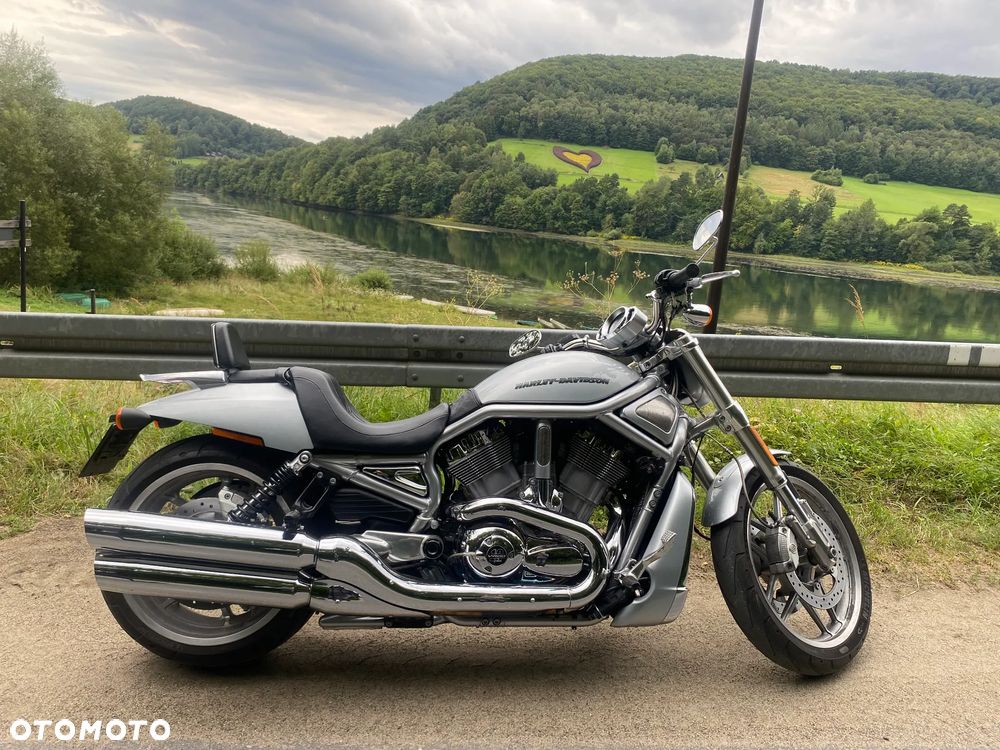 Harley-Davidson V-Rod Night Rod - 7