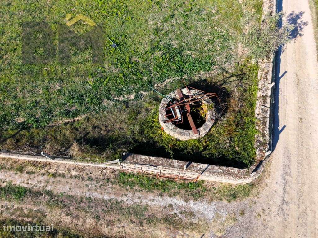 Quinta com 2.000 m² na Lardosa - Grande imagem: 4/6