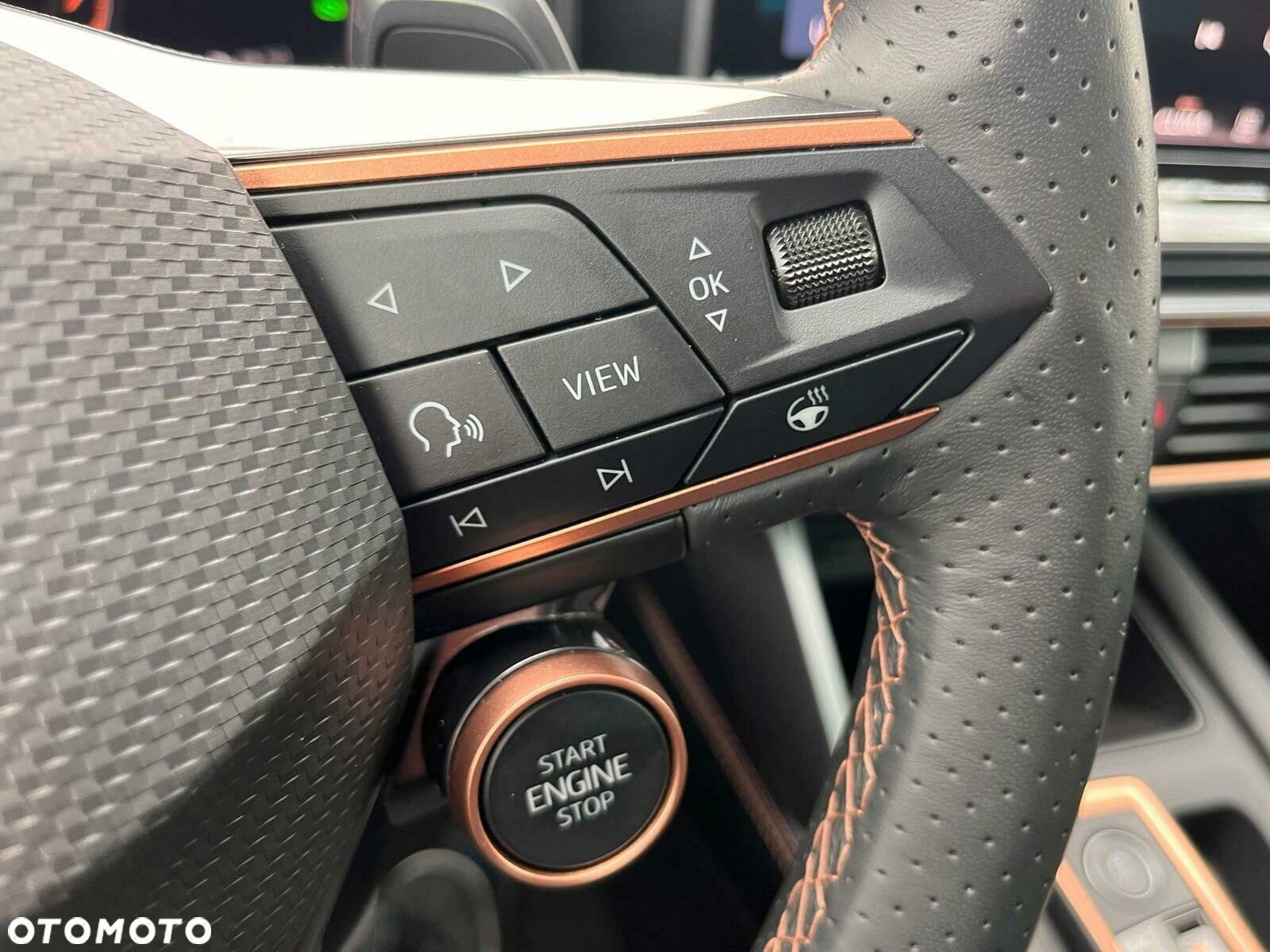 Cupra Formentor 1.5 TSI DSG - 16