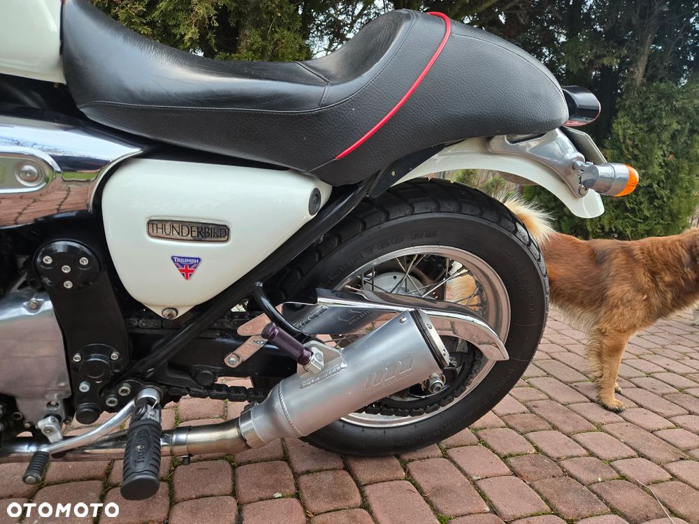 Triumph Thunderbird - 34