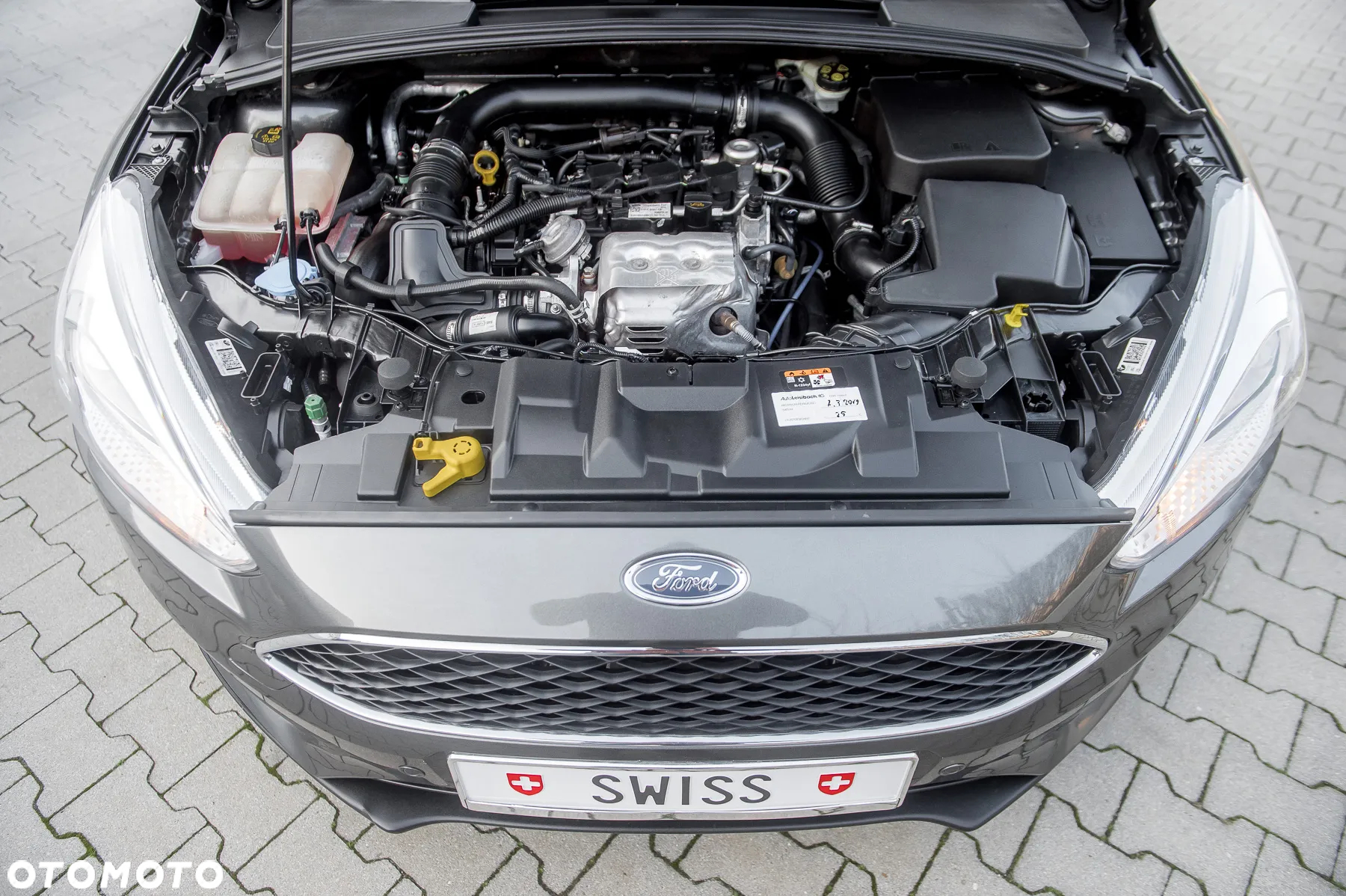 Ford Focus - 18