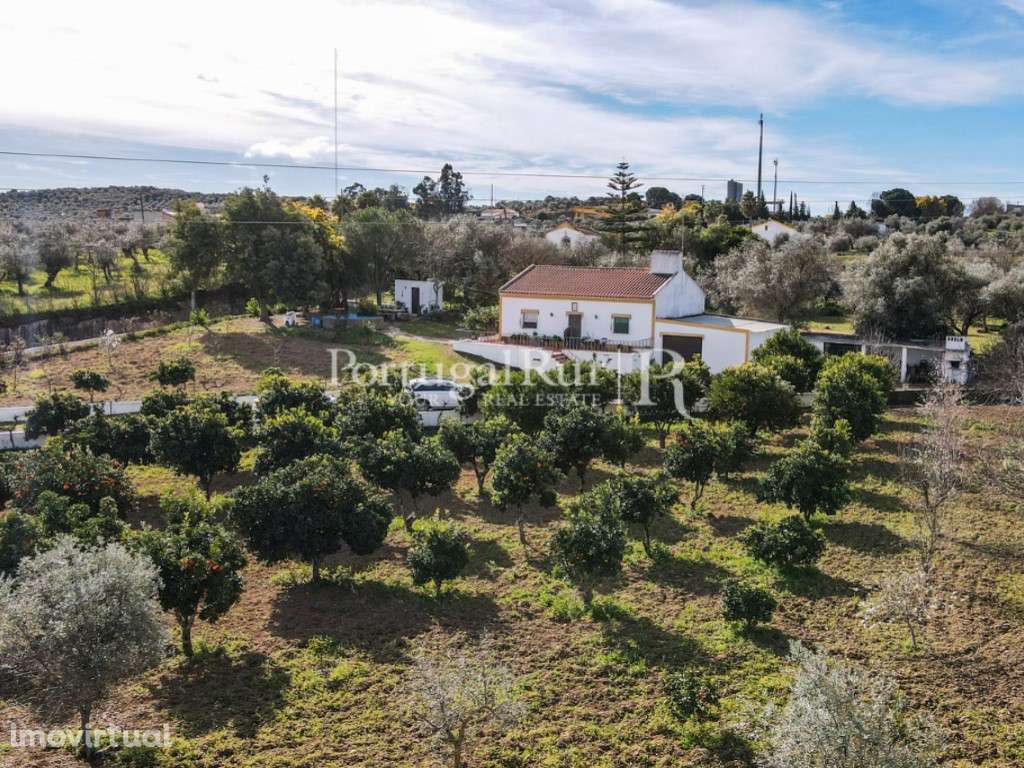 Quinta de 2 ha com moradia T3 em Vila Viçosa - Grande imagem: 5/51