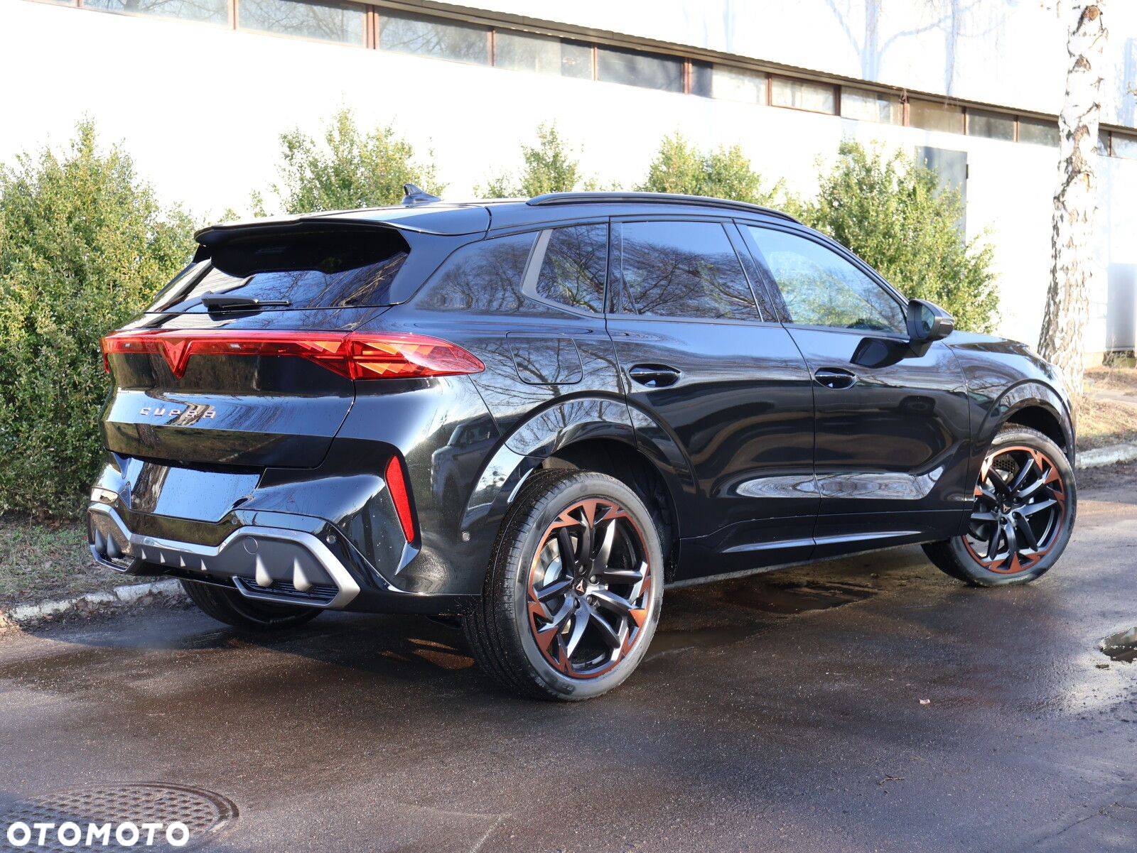 Cupra Terramar 2.0 TSI 4Drive DSG - 16