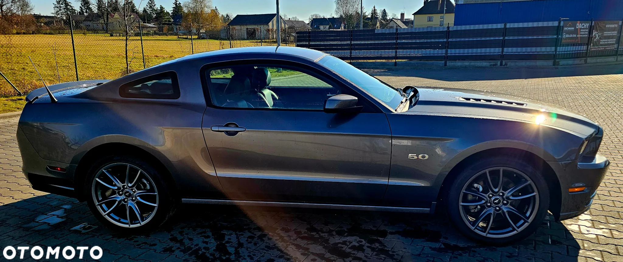 Ford Mustang 5.0 Ti-VCT V8 GT - 6