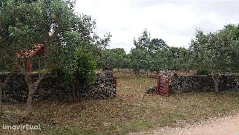 Terreno Rústico - Serra de Aire - Grande imagem: 2/7