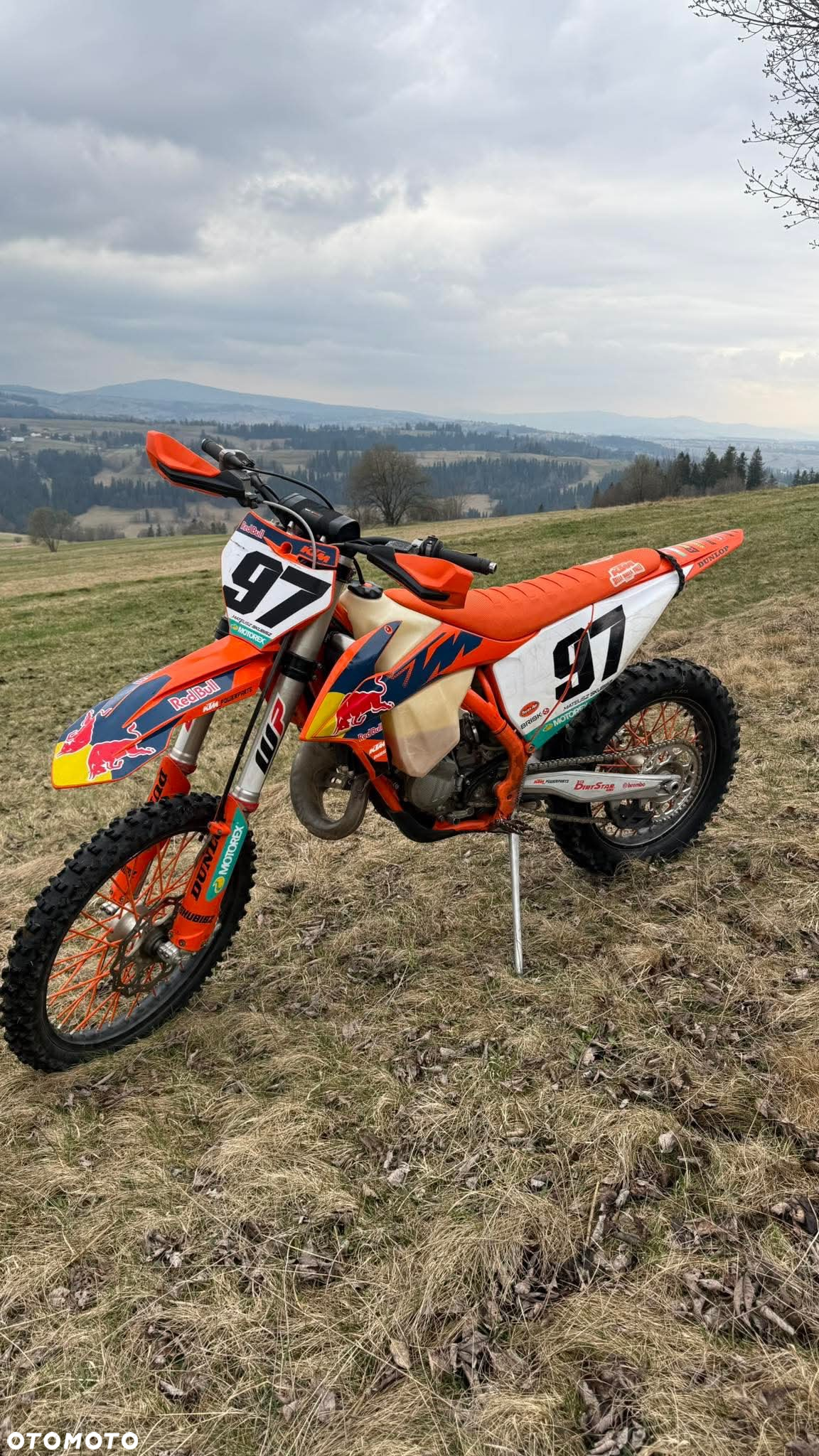 KTM SX