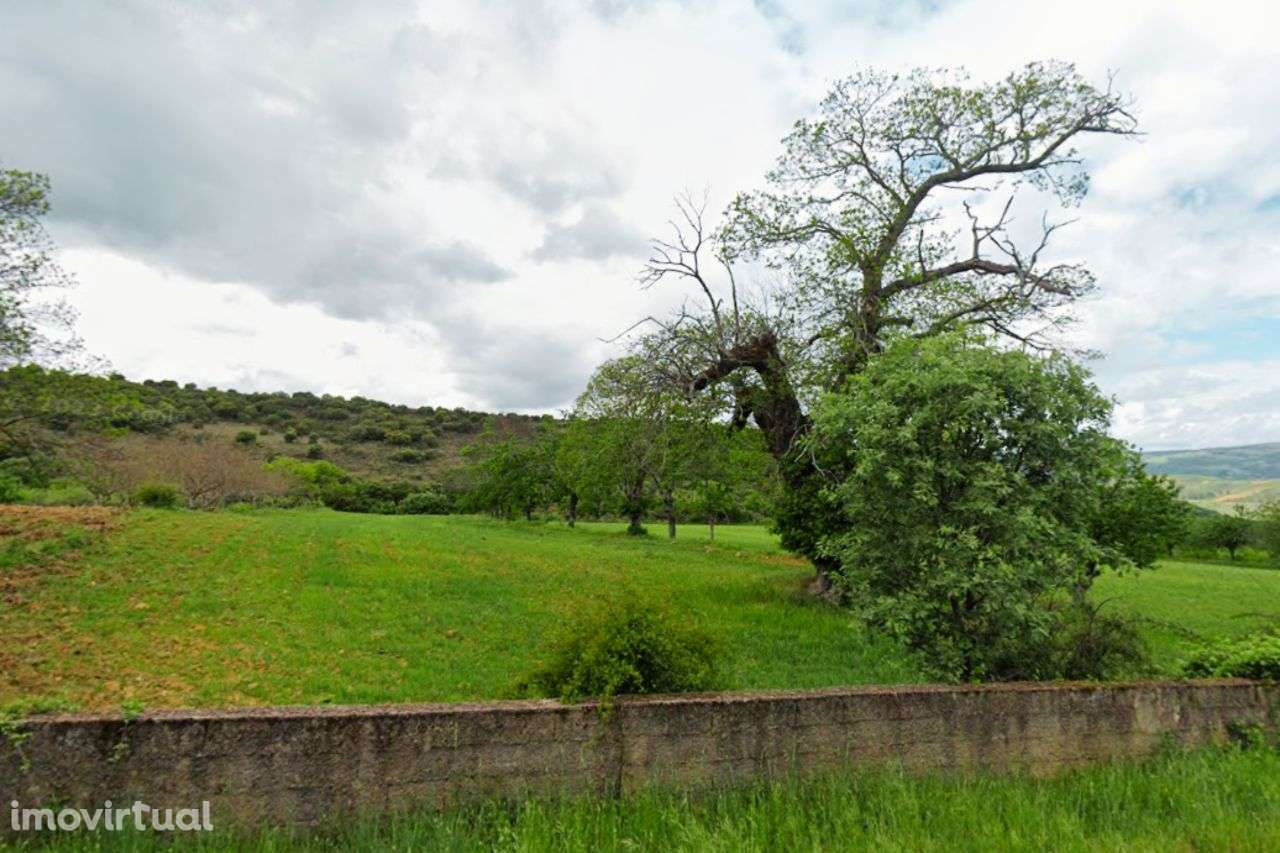 Terreno Agrícola para venda em Conlelas, Bragança - Grande imagem: 3/7
