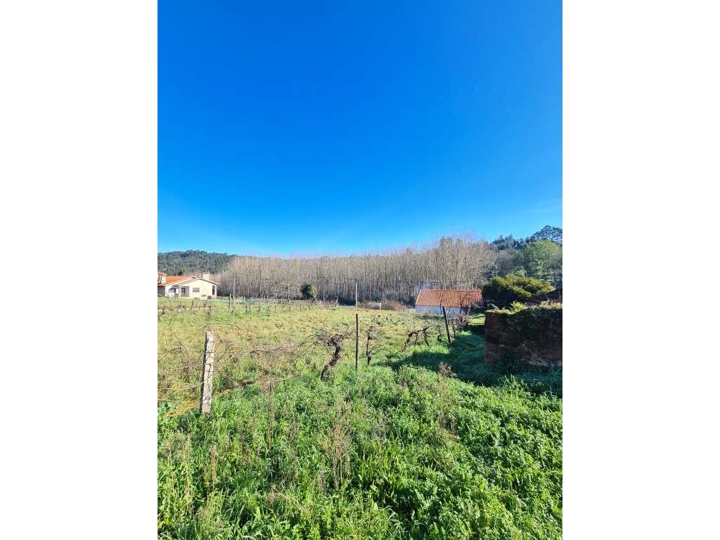 Terreno para construção na Piedade - Espinhel (Águeda) - Grande imagem: 3/7