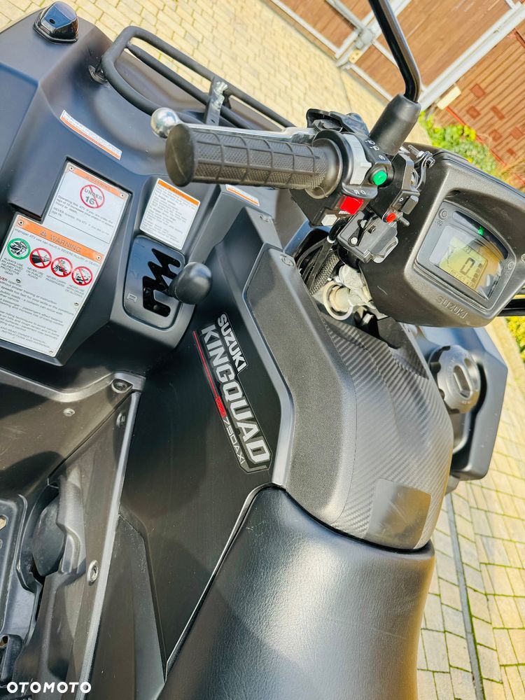 Suzuki Kingquad - 10